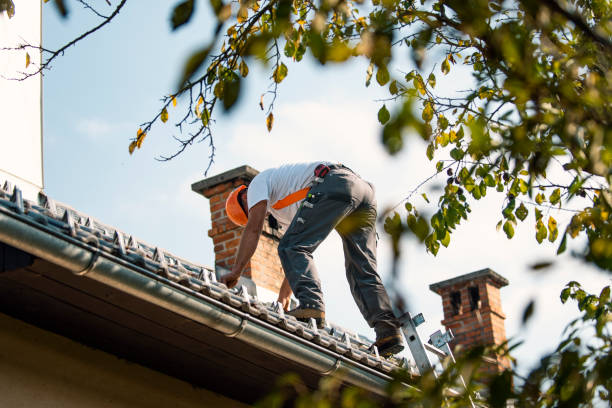 Best Storm Damage Roof Repair  in Alanuk, AK