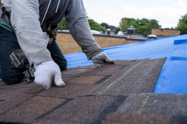 Best Emergency Roof Repair  in Alanuk, AK