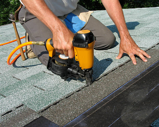 Best Roof Leak Repair  in Alanuk, AK