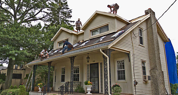 Best Metal Roofing Contractor  in Alanuk, AK